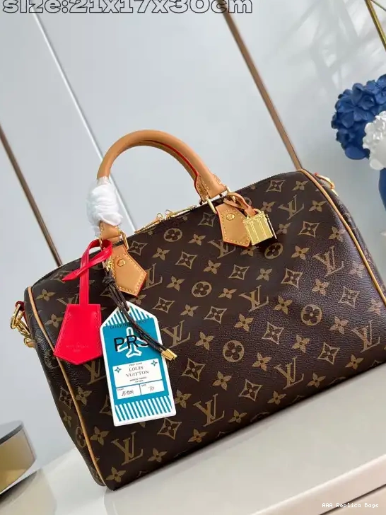 Aaa replica bags Soft 30 Vuitton Speedy Louis Crafty 0609
